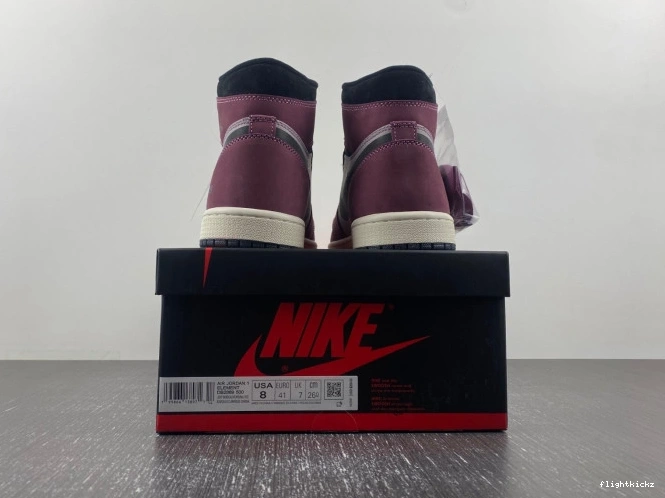 Jordan Gore-Tex Element 1 Air DB2889-500 0802